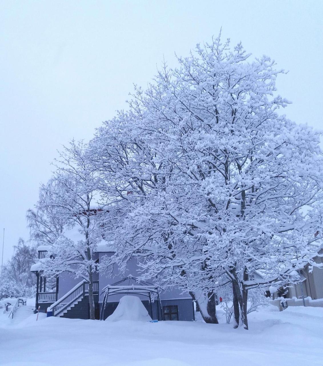 Boutique Hotel Tavis, Check In Olavinkatu 8 Savonlinna Luaran gambar